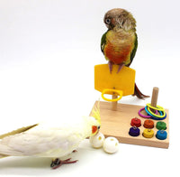 Engaging Bird Toys for Budgies and Parrots - BIG FRENCHIES