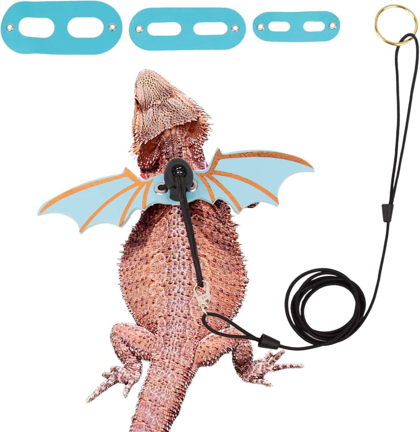 Bearded Dragon harness - BIG FRENCHIES