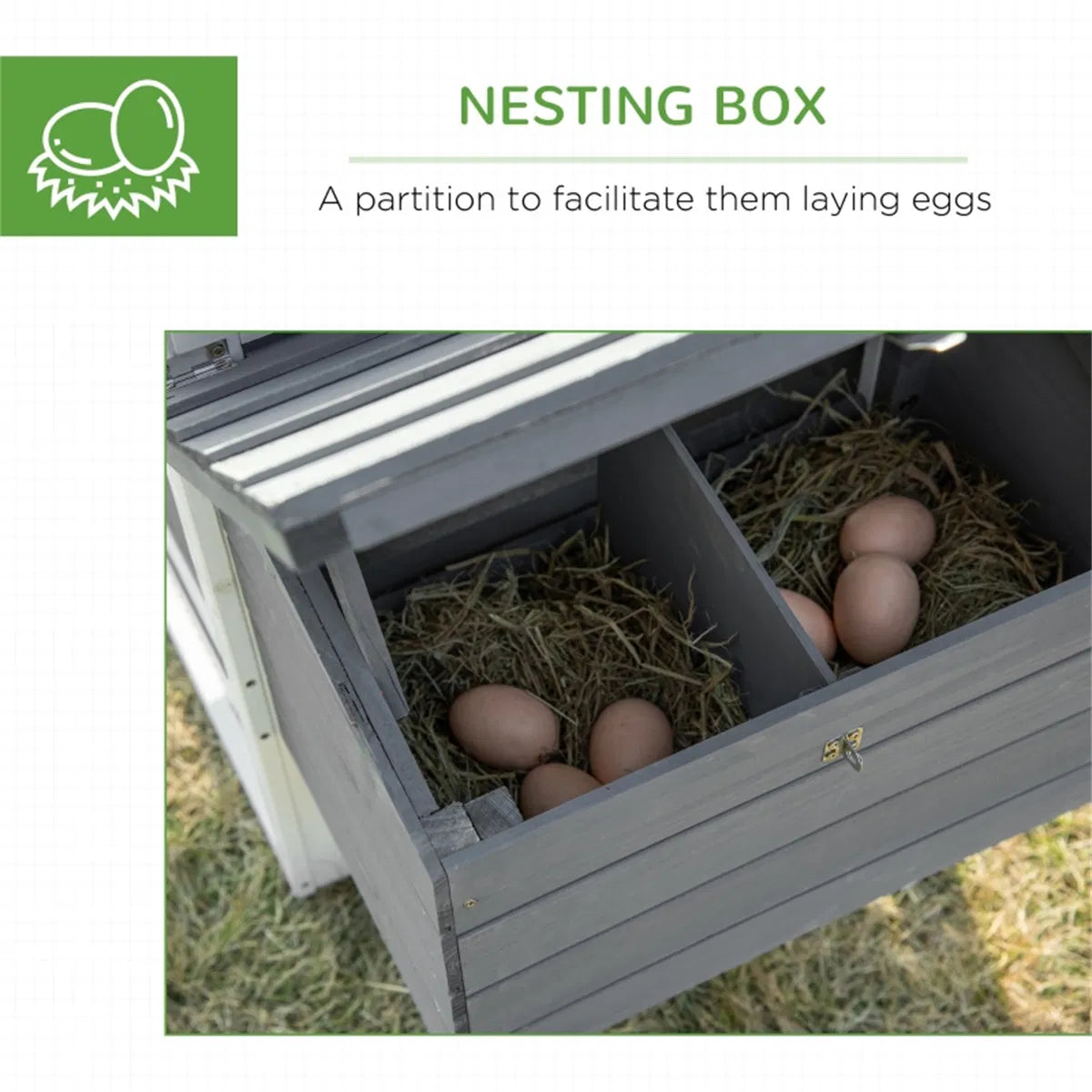 Wooden Chicken Coop