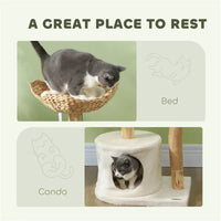 Cat Tree