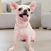 Adjustable cats and dogs Collars - BIG FRENCHIES