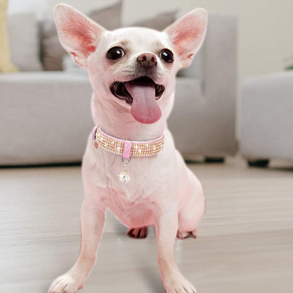 Adjustable cats and dogs Collars - BIG FRENCHIES