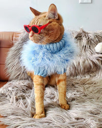 Haute Couture Feathered Luxury Pet Sweater - BIG FRENCHIES