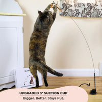 Interactive Cat Feather Toy with Suction Base & 5 Bird Refills