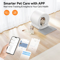 Smart Automatic Self-Cleaning Cat Litter Box - BIG FRENCHIES