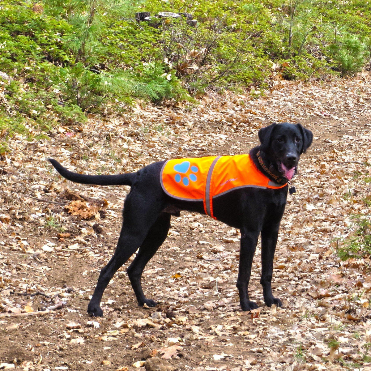 Reflective Dog Vest Hi-Vis L Size 35.75 in Chest x 26.75 in Neck Orange