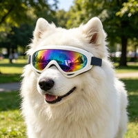 2 Pack Pet Protection Dog Sunglasses Pet Goggles Windproof Eye Wear Adjustable Dog Goggles (US Logistics only For USPS.T