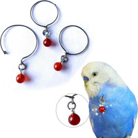 Parrot Bells Parrot Collar Necklace Parrot Decoration Parrot Scarf Clothes Budgerigar Peony Parrot Cockatiel Golden Sun Parrot - BIG FRENCHIES
