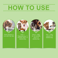 Pet Probiotics & Vitamin Tablets For Dogs & Cats, Gut Health Supplement, Support Digestion & Immune System, 80 Chewable 