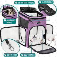 Dog and cats Backpack Carrier - BIG FRENCHIES