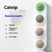 4 In 1 Rotating Catnip Silver Vine Ball Teeth Cleaning Acne Prevention Digestive Health Wall Stick On Toy Edible Safe Ma