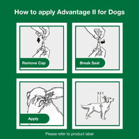 Vet-Recommended Flea Prevention for XL Dogs 55 Lbs+, 6-Monthly Treatments - BIG FRENCHIES