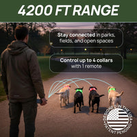 Dog Training Collar for 2 Dogs — 360° LED Lights, 4200FT Range, Waterproof