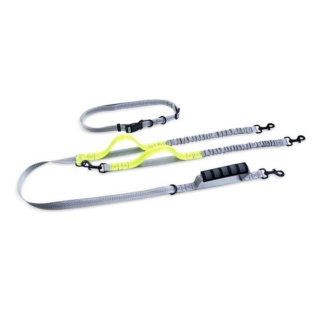 Multifunctional Handsfree Bungee Dog Leash - BIG FRENCHIES