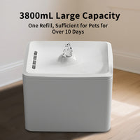 Square Water Dispenser