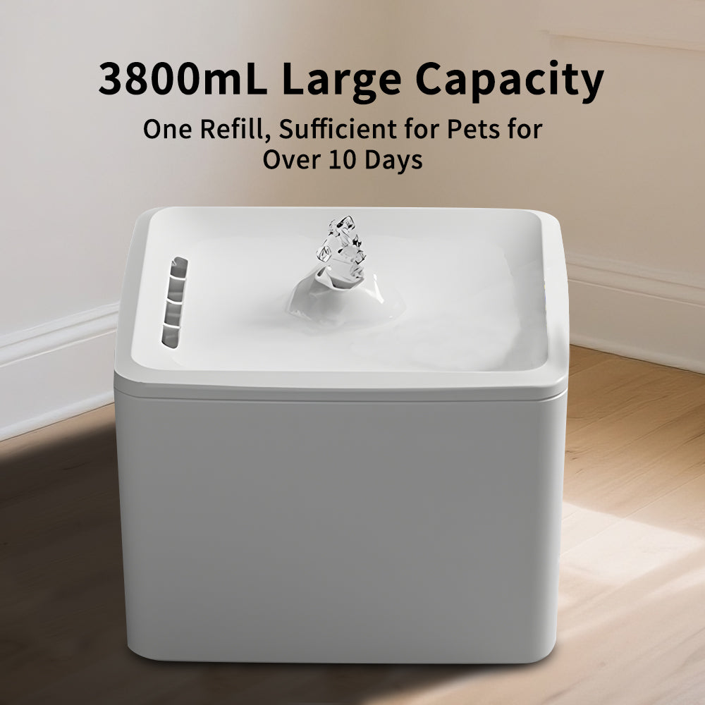 Square Water Dispenser