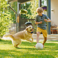 2 In 1 Wireless Dog Fence System With Training Collar Invisible Dog Fence IP68 Waterproof With 722FT Adjustable Range Be