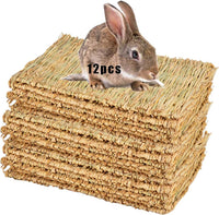The Ultimate Chew-athon: 12 Grass Mats for Your Furry Friends' Snack Time and Nap Zone! - BIG FRENCHIES