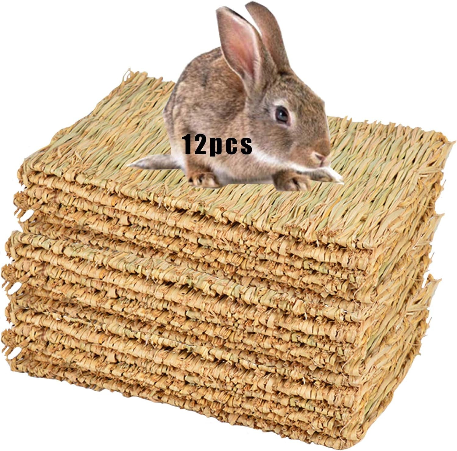 The Ultimate Chew-athon: 12 Grass Mats for Your Furry Friends' Snack Time and Nap Zone! - BIG FRENCHIES