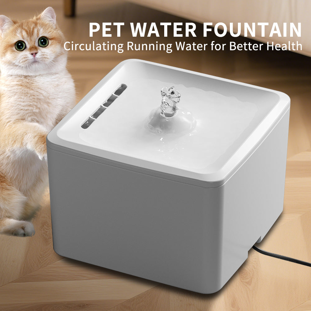 Square Water Dispenser