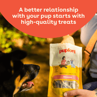 Pupford Freeze Dried Minnows Single-Ingredient Dog Treats, 1.5 oz, Pack of 11