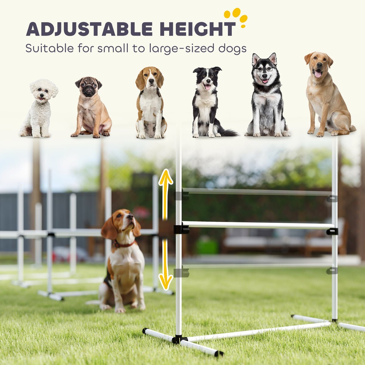 4 Piece Dog Agility Training Equipment for Dog Agility Course with Adjustable Height Jump Bars, Included Carry Bag, & Di