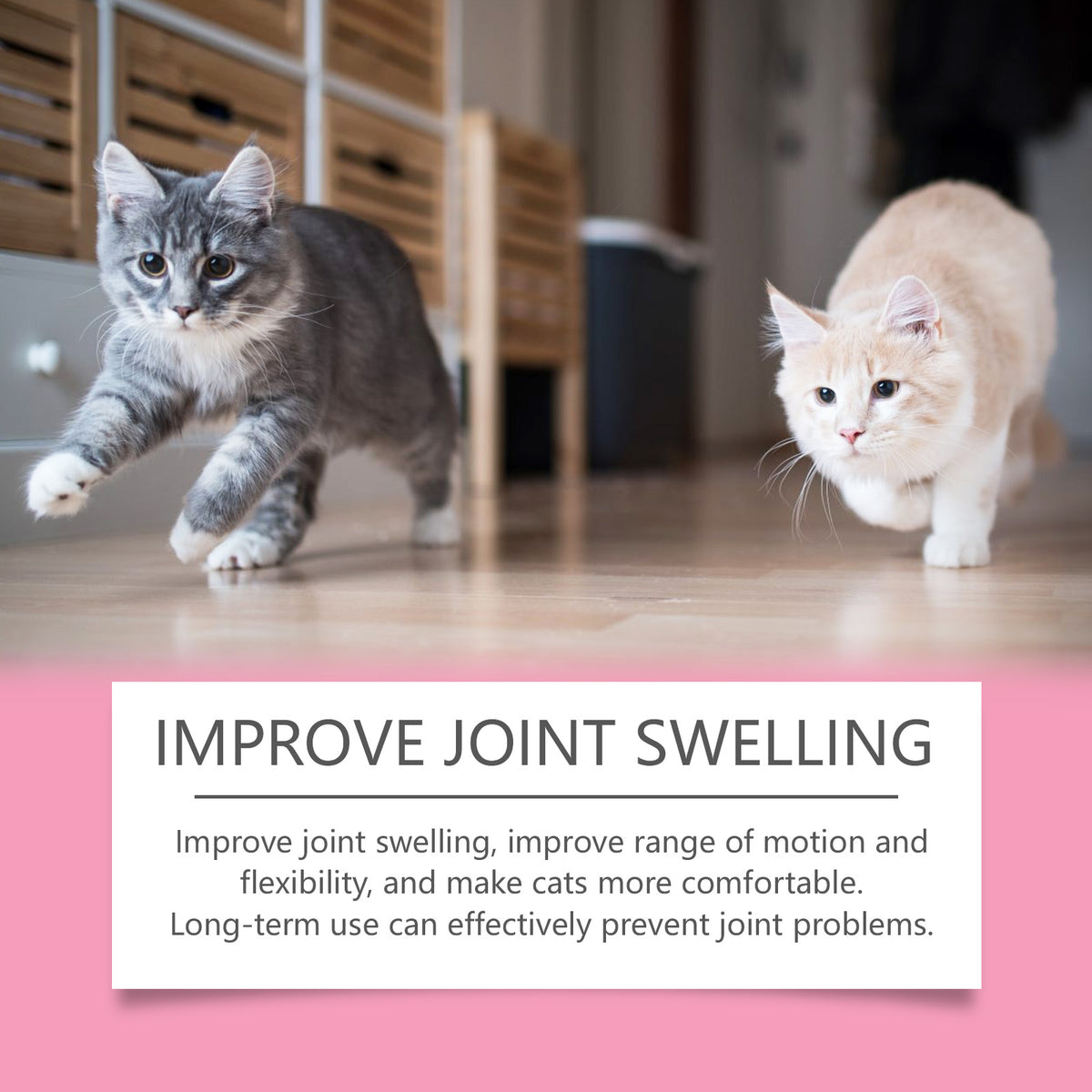 Cat Joint Health Support Tablets, Glucosamine Joint Supplement For All Breeds & Sizes Cats, 80 Count Joint Care Chewable