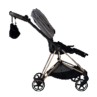 The Stroller Sling - All Weather