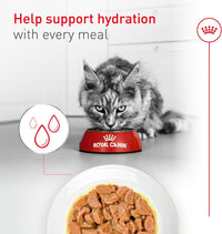 Senior Cat Wet Food 11+ Royal Canin Aging Thin Slices Gravy 3oz 12 Pack
