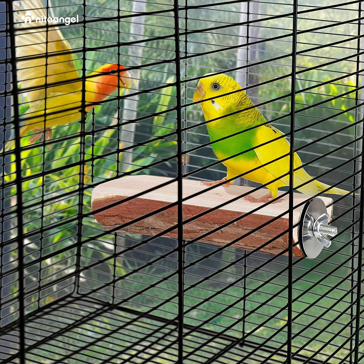 Parrot Cage Perch, Wooden Platform for Birds (2 Packs) - BIG FRENCHIES