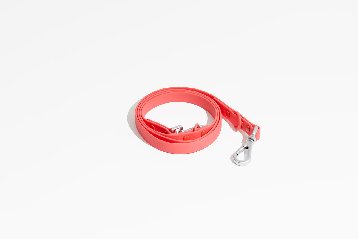 Luxe Leash - Poppy-Leash-BIG FRENCHIES-Pawmigo