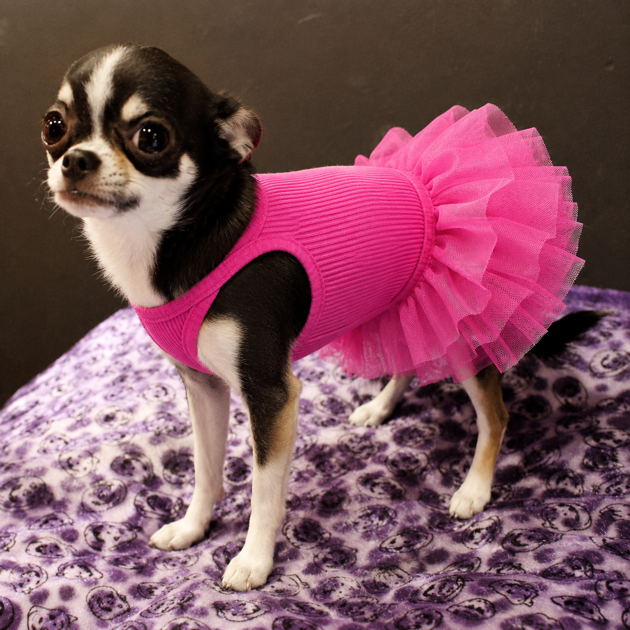 Ribbed Knit Dog Tutu Dress with Tulle Skirt