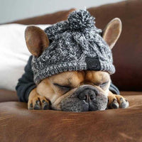 Autumn Winter Warm Knitted Pet Hats With Fluffy Ball - BIG FRENCHIES