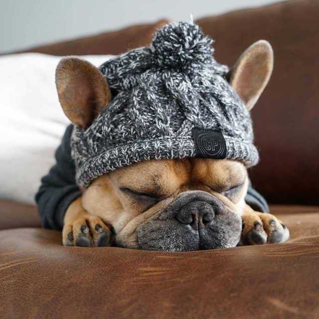 Autumn Winter Warm Knitted Pet Hats With Fluffy Ball - BIG FRENCHIES