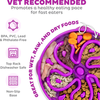 Hound Feeder Slo Bowl Large 4 Cup Capacity, Slow Feeding, Medium To Large Dogs, Non Slip, Purple, Flower Pattern