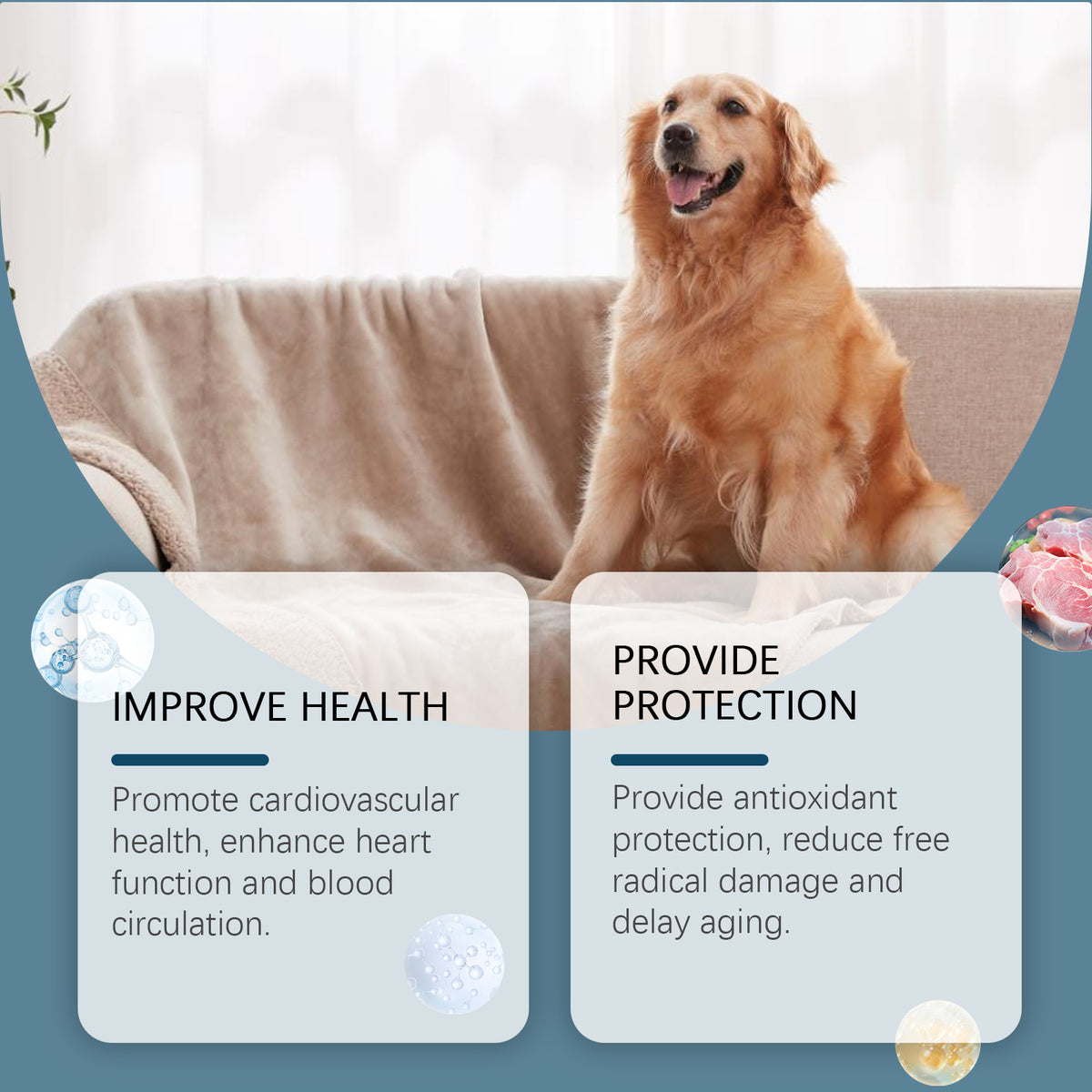 Dog Mineral Supplement Tablets, 80 Chewable Minerals Tablets For Pica, Appetite & Bone Health Support, Non-GMO Human Gra