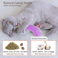 5 Pack Vegetable Catnip Plush Toys, Cute Kicker Chew Toys For Indoor Cats
