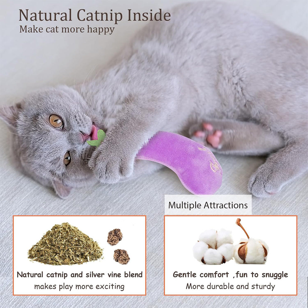 5 Pack Vegetable Catnip Plush Toys, Cute Kicker Chew Toys For Indoor Cats