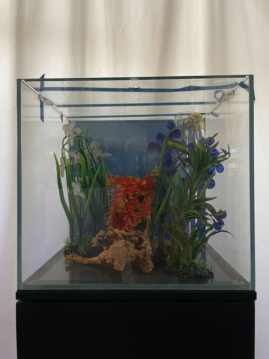 ULTRA CLEAR GLASS - 18 gallon cube fish tank aquarium full setup w/ filtration