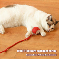 Electric Dog Cat Ball Toy,Indoor Large And Small Cat Dog Interactive Intelligent Rolling Pet Ball