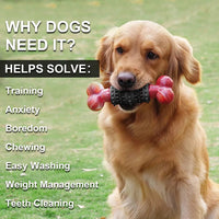 Dog Toys for Aggressive Chewers Bone - BIG FRENCHIES