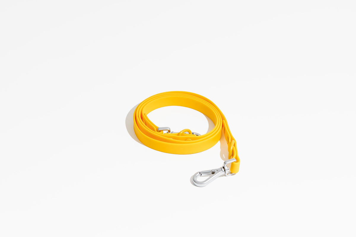 Luxe Leash - Soleil-Leash-BIG FRENCHIES-Pawmigo