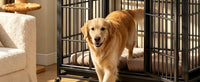 Heavy Duty Dog Crate , Mobile Pet Kennel with Lockable Wheels & Rotary Twist-Latch, Indoor Outdoor Metal Cage with Perfo