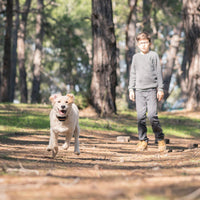 2 In 1 Dog GPS Fence Tracker Wireless GPS Dog Fence GPS Dog Collar With 32-2887FT Radius IPX6 Waterproof For Small Mediu