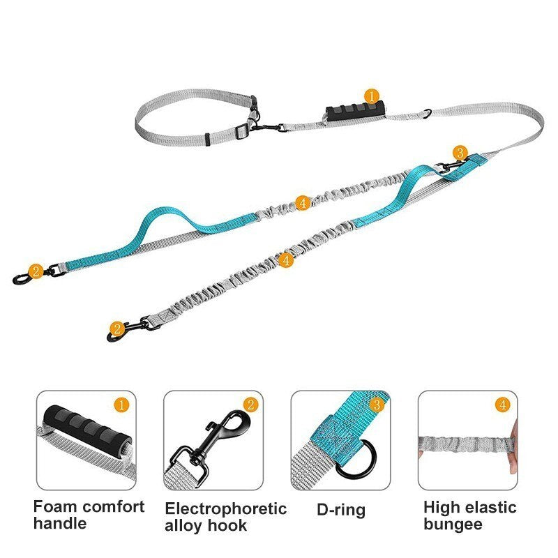 Multifunctional Handsfree Bungee Dog Leash - BIG FRENCHIES