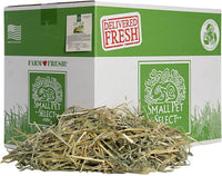 Oat Hay Pet Food, 20 Lb. - BIG FRENCHIES