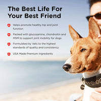 Advanced Strength Hip & Joint Chewable Dog Supplements - BIG FRENCHIES