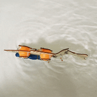 Fish Robot DIY Kit, Educational STEM Toy - BIG FRENCHIES