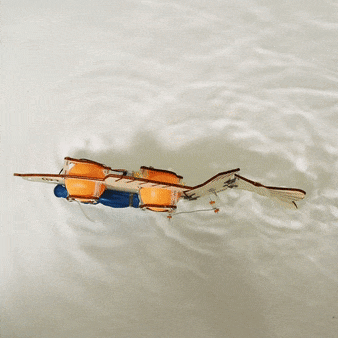 Fish Robot DIY Kit, Educational STEM Toy - BIG FRENCHIES