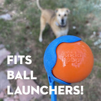 Squeak Ball - Durable Squeaky Dog Toy, Floats, Chew Toy | USA Made - BIG FRENCHIES